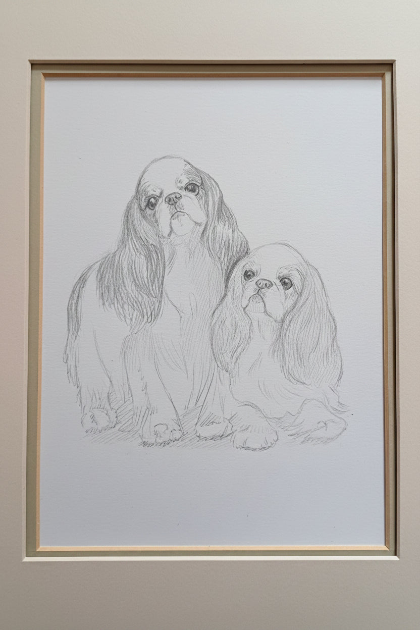 Original Pencil Sketch of English Toy Spaniels / King Charles Spaniel